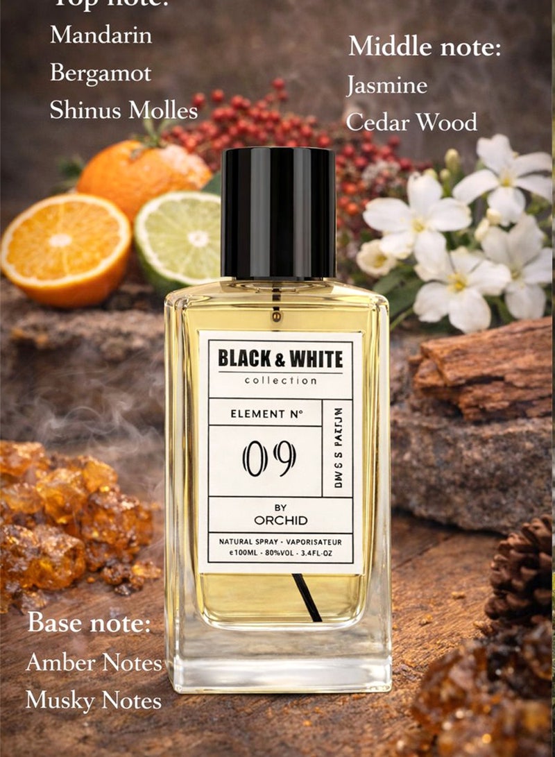 أوركيد عطر بلاك آند وايت إليمنت N.09 بور فيم أو دو بارفان 100 مل للنساء | عطر خشبي حمضي طويل الثبات بنفحات الماندرين والبرغموت والياسمين وخشب الأرز مع لمسات العنبر والمسك - Image 2